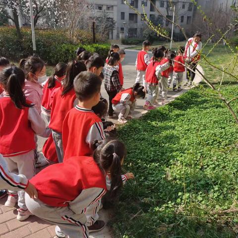 相逢植树节   爱在春天里 ——锦绣实验幼儿园植树节活动