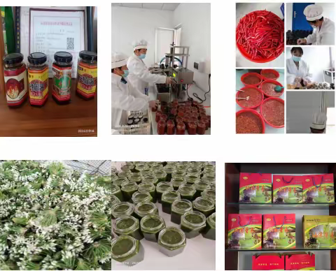 莱芜高庄街道白马峪驻村第一书记干起了“销售员 ”