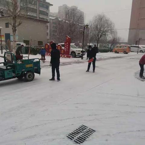 2022.1.12除雪行动