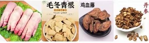 蔡工康家: 秘传方2.猪蹄毛冬青汤调脉管炎