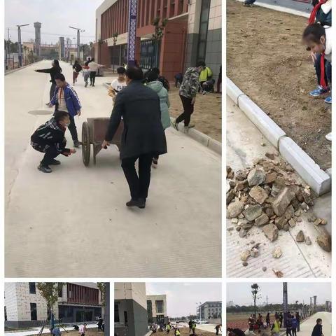 呵护校园，从我做起