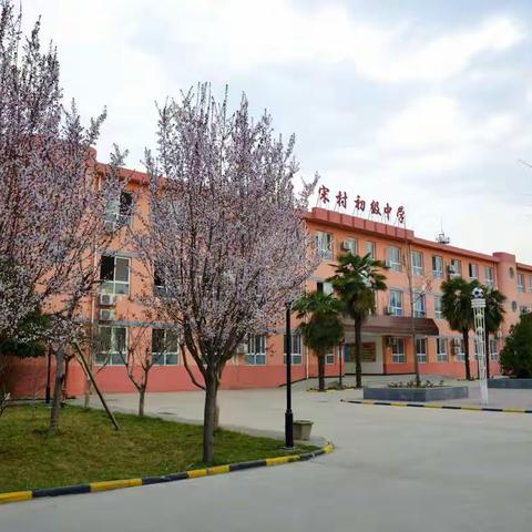 宋村初级中学“抗击疫情，宋中在行动”学雷锋活动总结