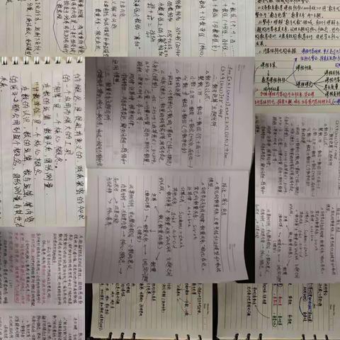 峪口中心小学数学新课标解读培训第二天