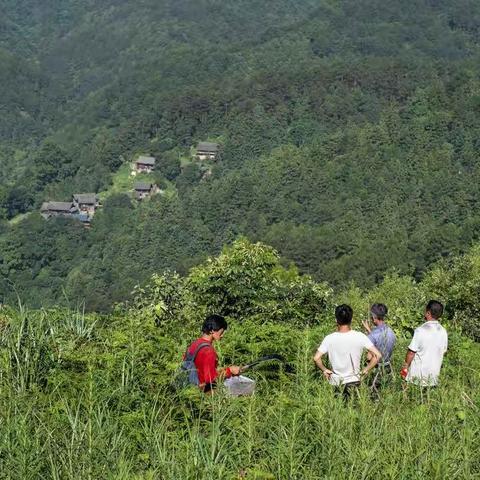 牛尾坡的幸福路