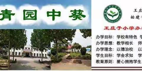 庞各庄王庄子小学教师风采锦集             坚守岗位，不负韶华——王丽波