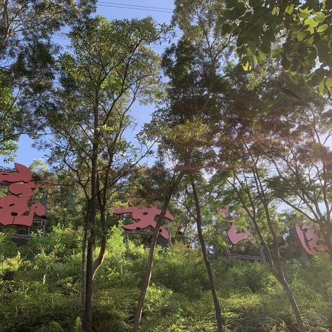 2020年6月27日 端午节假期 宝安公园