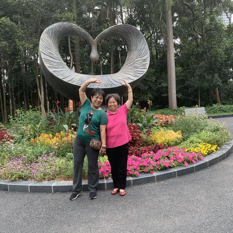 2020年10月17日 遛爸爸妈妈 深圳中山公园