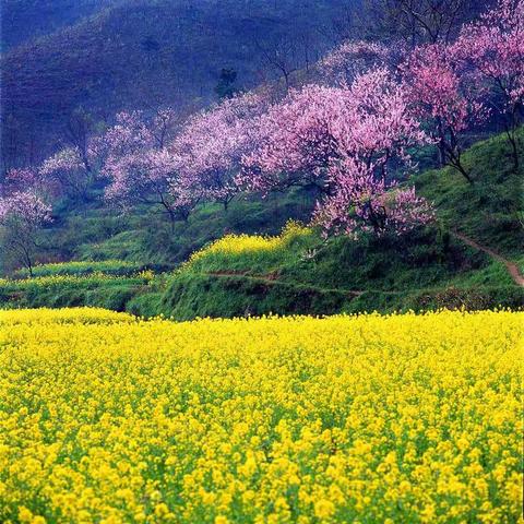 吕梁市2020年中央专项彩票公益金资助乡村教师培训项目方山县研修班小语组第二小组美篇