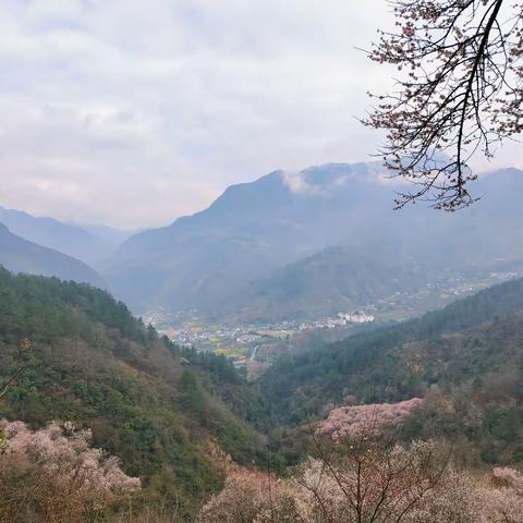 绵阳平武平通梅林的邂逅