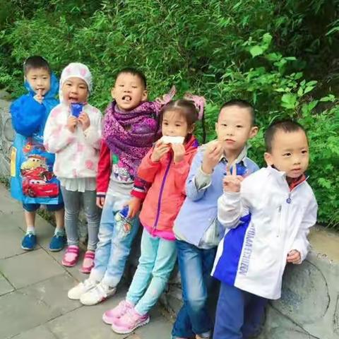 艺贝明星幼儿园家庭教育美篇《乐趣带动学习动机》