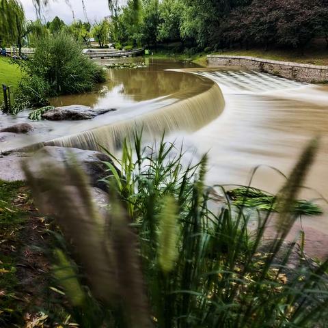 李村河生态公园上游观水（20220812）