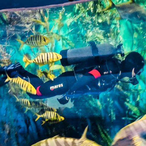 免费再游海底世界（20221031）