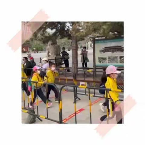 实验学校幼儿园大班级部春游活动——走进岱庙