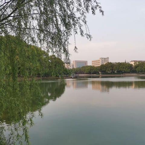 孝感后湖公园