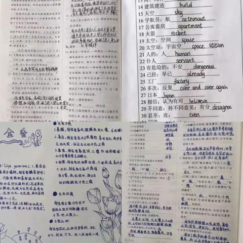 再见，多彩的暑假，您好，我们的八年级， ——暑假生活集锦