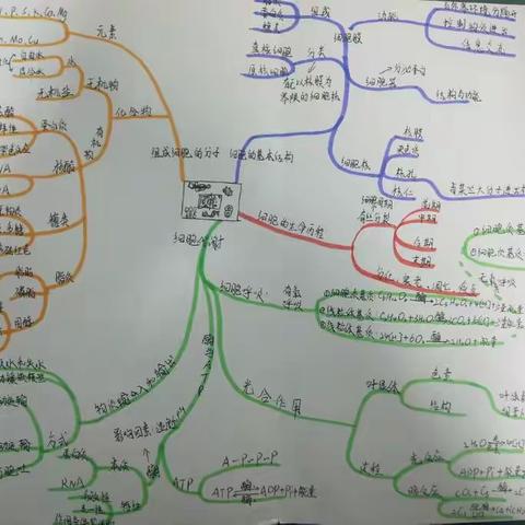 高中生物必修一思维导图（21，22班）