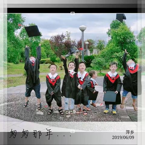 2019年我们毕业啦——金城幼儿园2019届学前二班