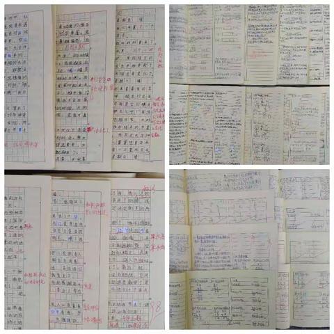 落实双减提质量 优秀作业展风采