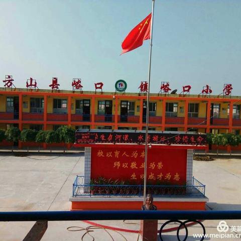 初蕾绽放的美篇