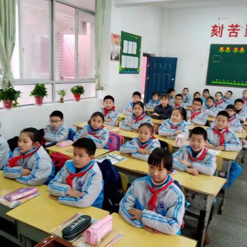 新学年，新征程