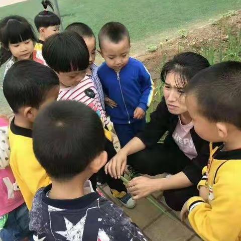康保一幼大八班云端毕业典礼