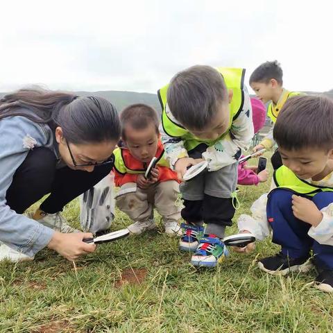 昆虫的奇妙世界|亲亲宝贝幼儿园《在自然中成长》之系列课程