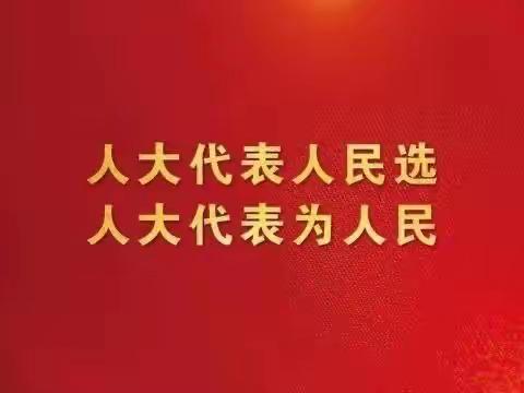 践行二十大精神 人大代表在行动