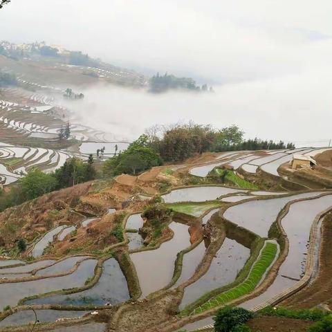 云南，世界景致，世间美景，元阳梯田。2021-3-23