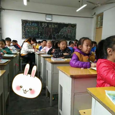 茌平县实验小学数学深化改革――一年级绘本课展示活动记录