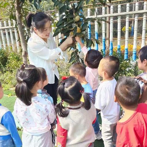 捕捉美好   见证成长—小二班一周纪实