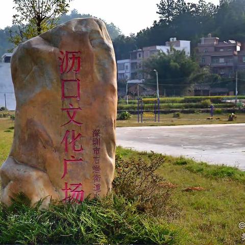 龍川縣瀝口葉氏松山公世系分析報告