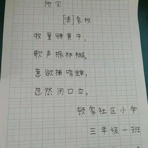 顿家小学三年级一班练字锦集