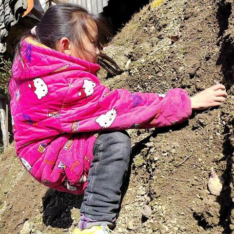 吴妍姗的寒假实践