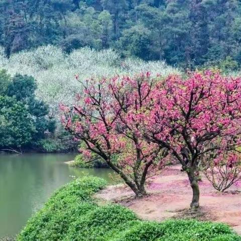 七彩课后服务 五彩缤纷童年 社团活动（春季学期第八期）。