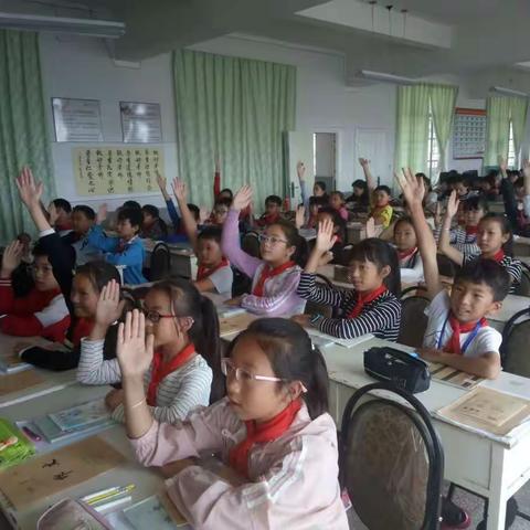 归类复习 短时高效