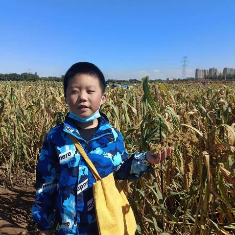 长征小学四（8）班姚凯旋  走进大自然，感受秋天的美（副本）