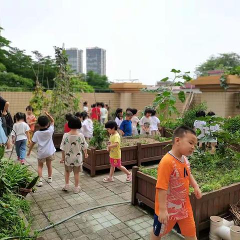 贝尔康格斯幼儿园《小一班》——小日常