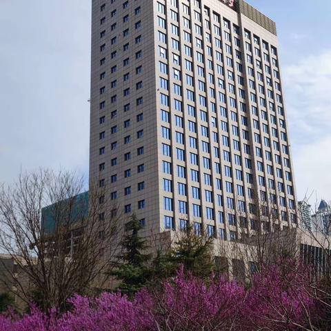 市局指挥中心调研处党支部开展学雷锋主题党日活动