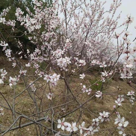 春天，播种的季节！