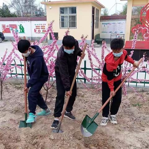 欢乐课堂内外，劳动实践真知——西闫乡大字营小学劳动实践课纪实