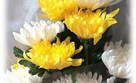 清明节有感