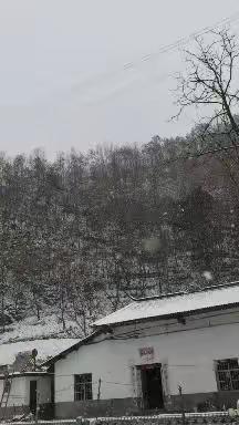 瑞雪丰年粮满仓，新年新景新气象——大坪镇全胜村“清积雪，保畅通，迎新年”清洁志愿活动