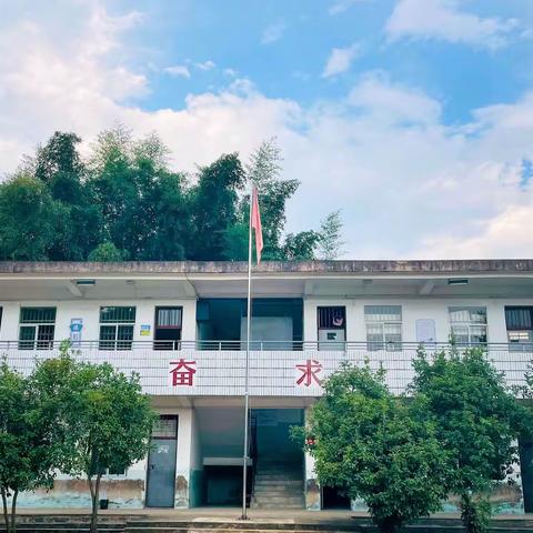 稠川小学2月份工作简报