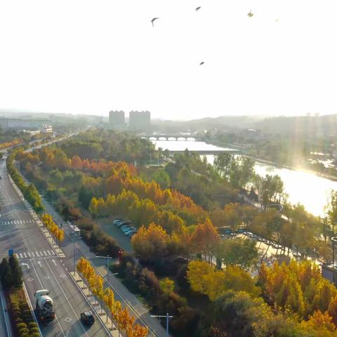 环城通道绿化为森林城市建设提档增色