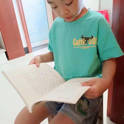 充实一“夏”，“暑”我最棒              凌云塔小学2007班陈修宇始惊三伏尽…（副本）