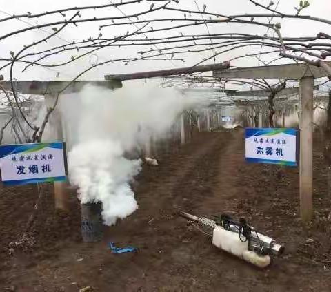 3月21-22日猕猴桃园防冻措施