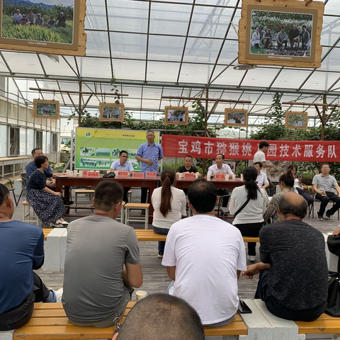 宝鸡市积极组织开展猕猴桃夏季管理技术培训