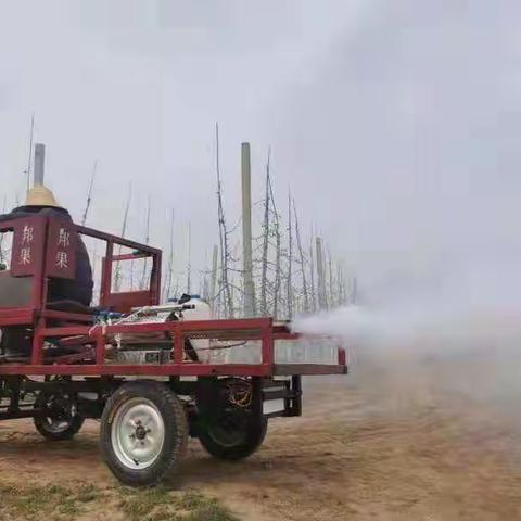 果树春季冻害防御措施