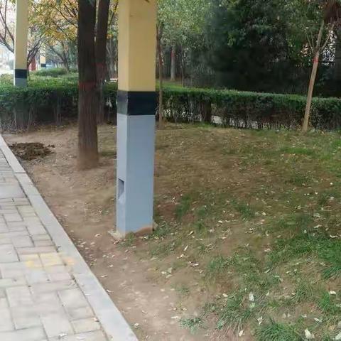 园林绿化工程处街头绿地广场整治工作情况