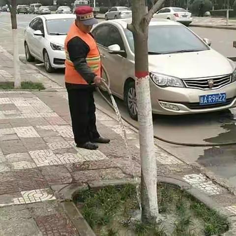 园林绿化工程处日常工作进行时